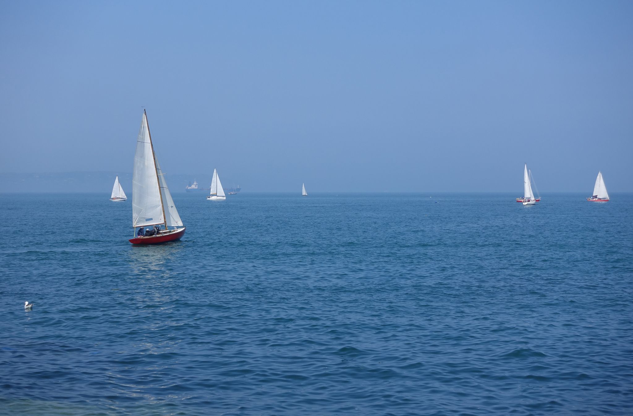 photo of White yachts in Bullock Harbour .