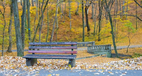 Lonely bench in the park. Autumn day in Trivale Forest Park, (Padurea Trivale) Pitesti, Arges County, Romania