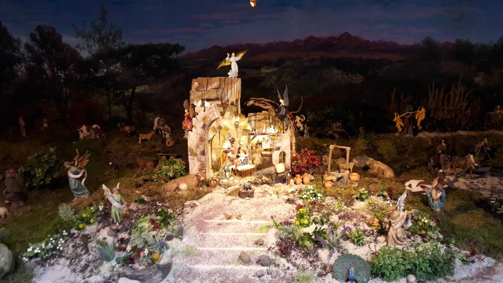 Nature Museum Fryslân, Leeuwarden, Friesland, Netherlands