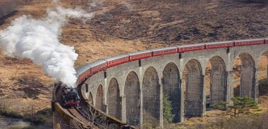 From Edinburgh: Glenfinnan, Fort William and Highland Cows