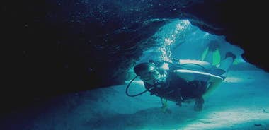 Local Guided Dives (for certified/licensed divers)