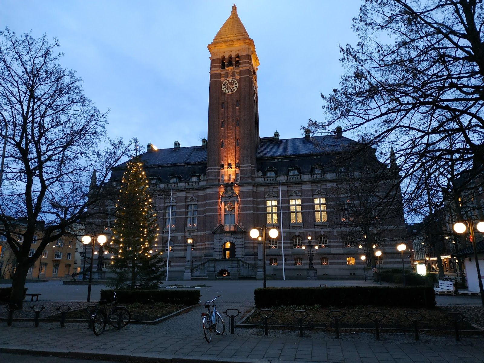 Cactus plant, Nordantill, Norrköpings kommun, Östergötland County, Sweden