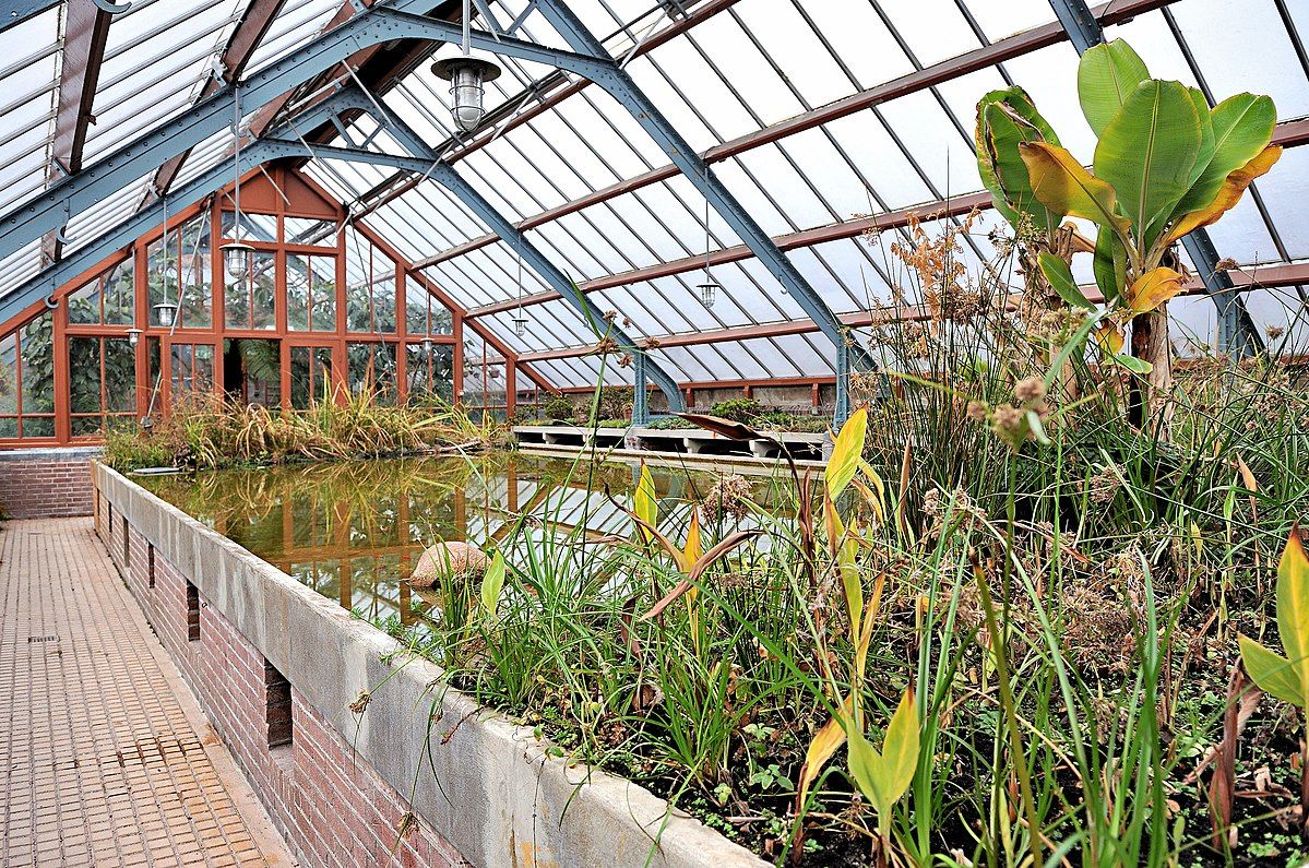 photo of inside Oude Hortus in Utrecht, The Netherlands.
