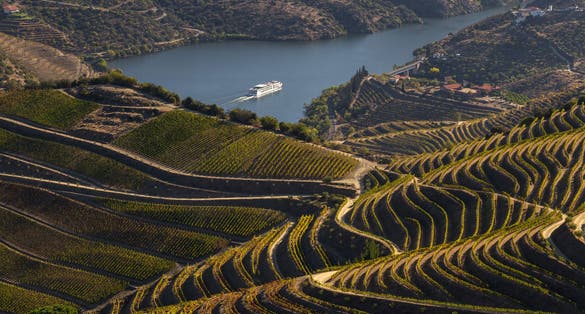 UNESCO World Heritage, the beautiful endless lines of Douro Valley Vineyards, in Sao Joao da Pesqueira, Viseu, Portugal.