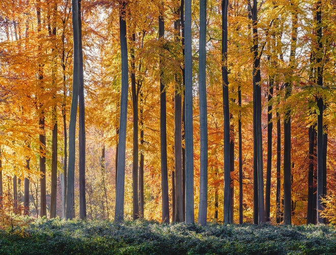 shutterstock_2055842519 (1).jpg