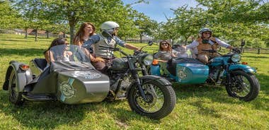 2.5-hour Vintage Sidecar Tour of Honfleur & Heights with Tasting