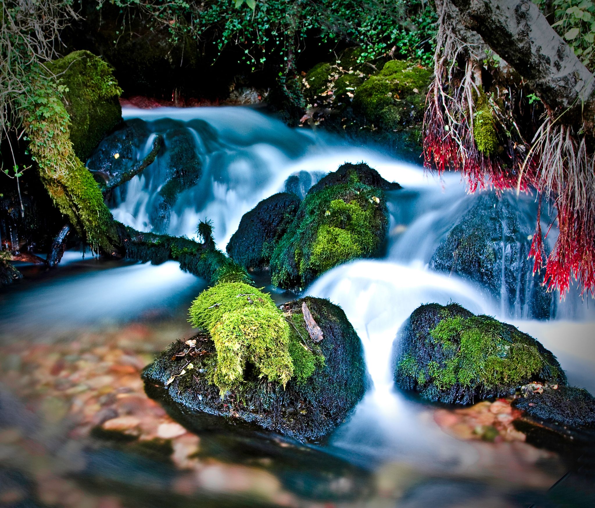 Photo of Waterfall in the area of Vevčani Springs, North Macedonia.
