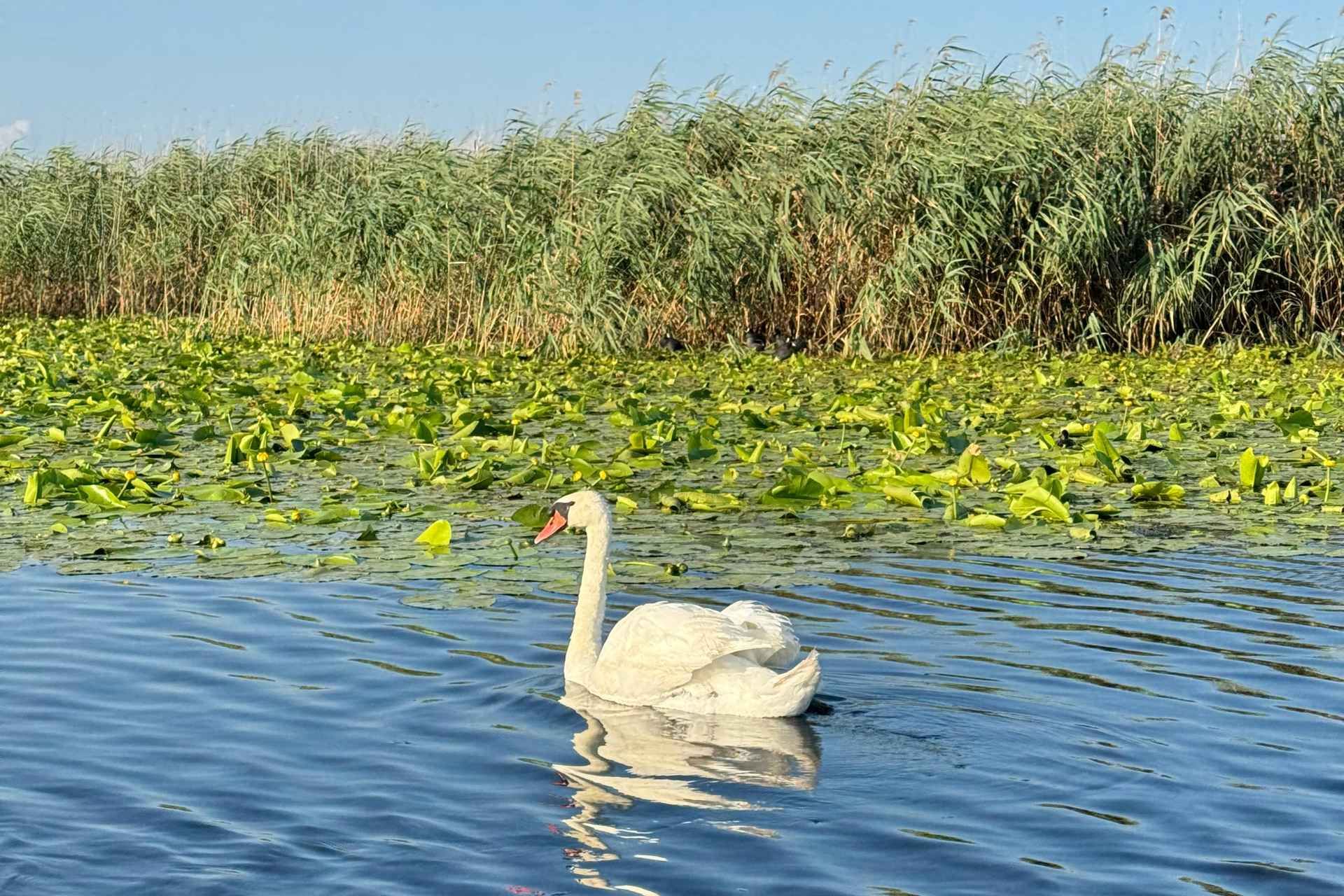 Boat Tour to the Black Sea, Sfântu Gheorghe (8-9 Hours)