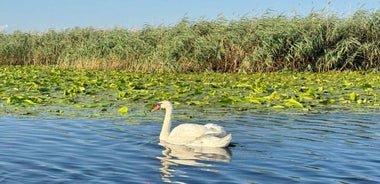 Boat Tour to the Black Sea, Sfântu Gheorghe (8-9 Hours)