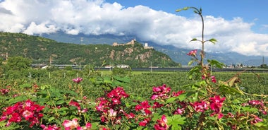 South Tyrolean Wine & Alpine Pasture Trail