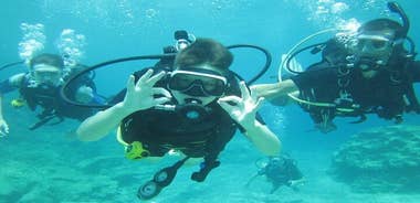 Private Discovery Dive + Photos & Videos