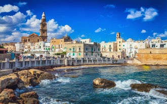 Naples, Italy. View of the Gulf of Naples from the Posillipo hill with Mount Vesuvius far in the background and some pine trees in foreground.