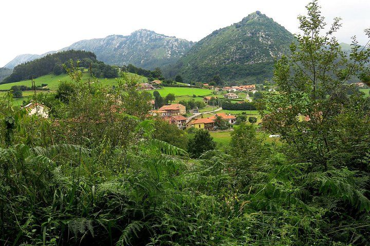 One Week Spanish Course At Your Tutor's Home In The North Of Spain