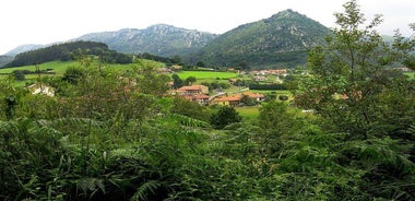 One Week Spanish Course At Your Tutor's Home In The North Of Spain