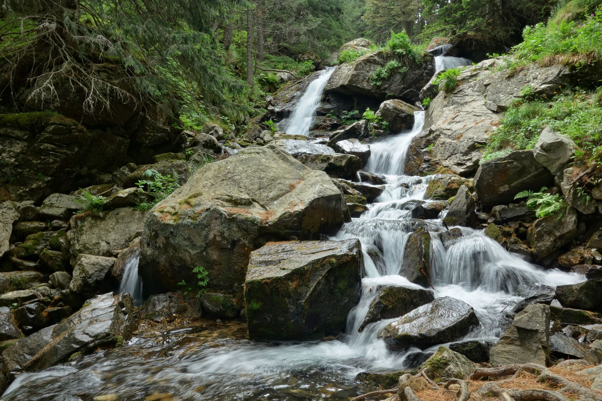 photo of view of "Skakavitsa Waterfall" in Bulgaria Mountain, Kyustendil, Bulgaria.