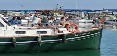 2-Hour Dolphin Watching Boat Tour from Estepona, Costa del Sol