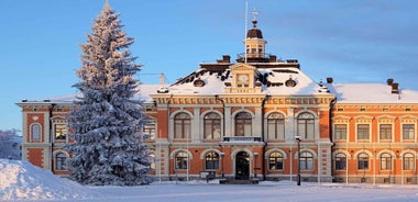 Best of Kuopio: Private Walking Tour with a Local