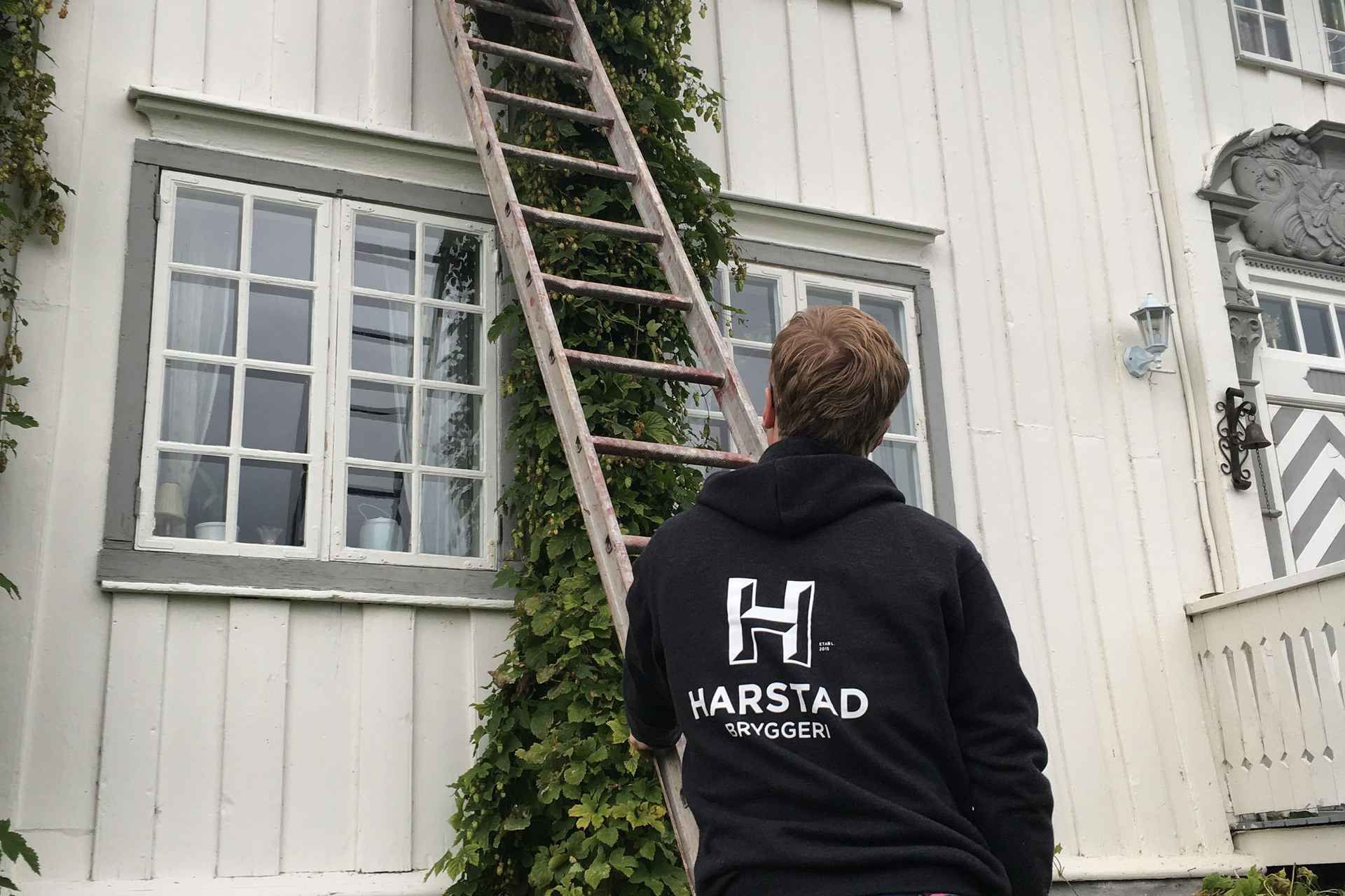 Night time tour of Harstad Craft Brewery