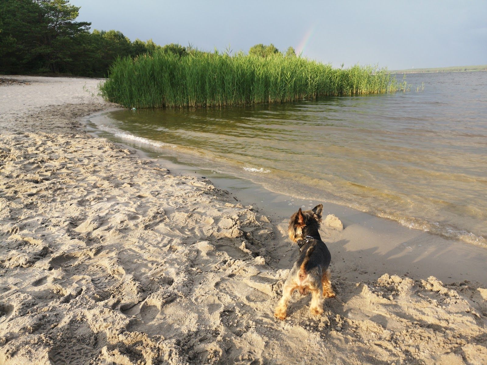 Plaża ogólnodostępna, gmina Wolbórz, Piotrków County, Łódź Voivodeship, Poland