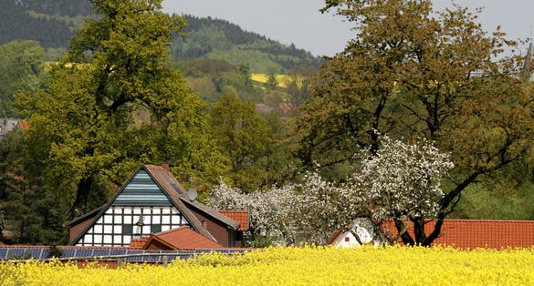 Photo of Timbered house with rapeseed field in spring, Lower Saxony, Germany.
