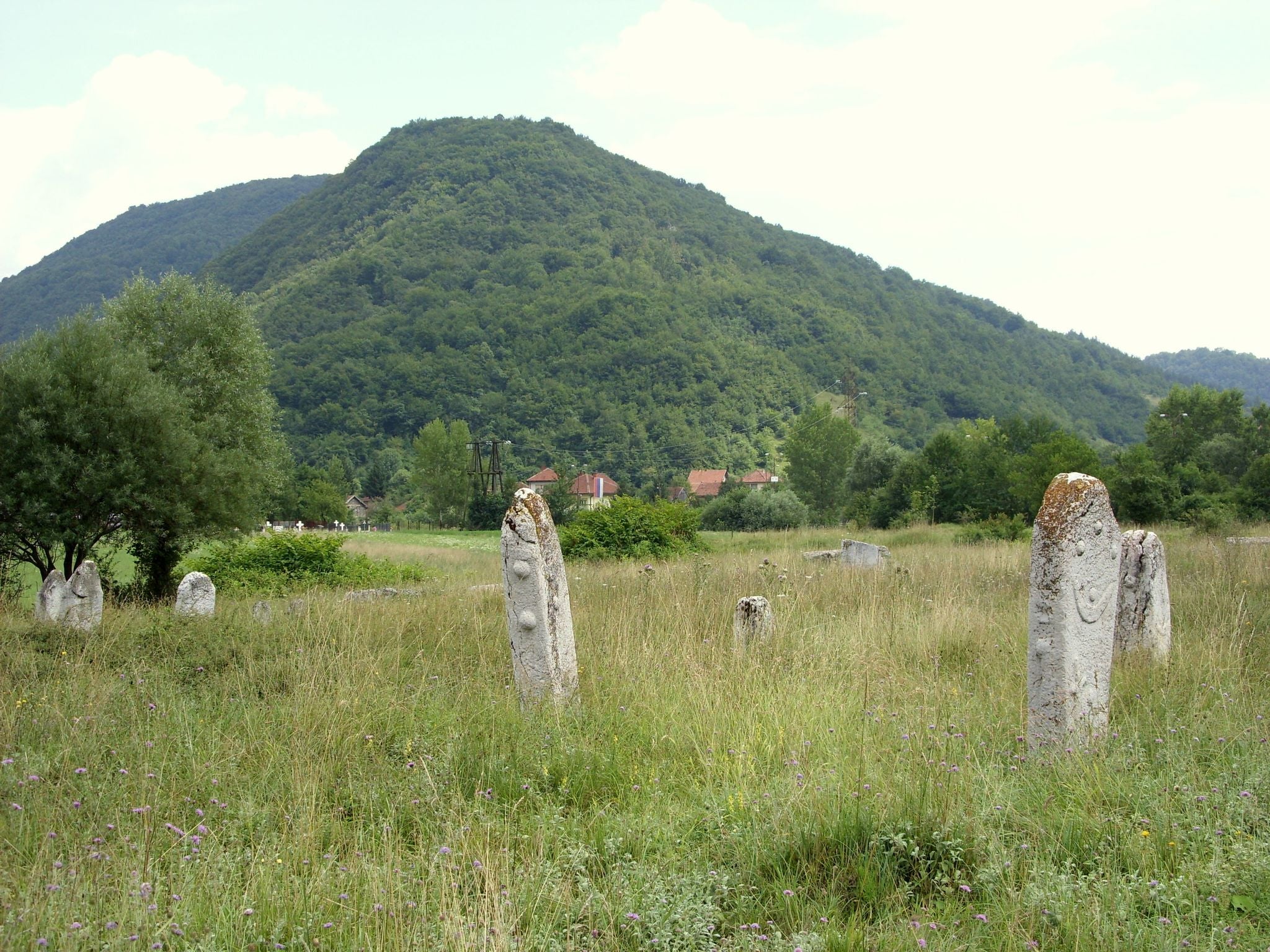 Stećci in Krupac necropolis