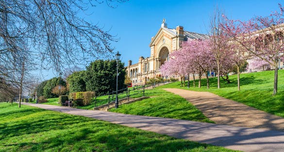 Photo of Cherry blossoms in Alexandra Palace, London, UK.