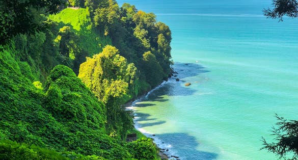 Photo of view from the observation deck of the Botanical garden in Batumi.