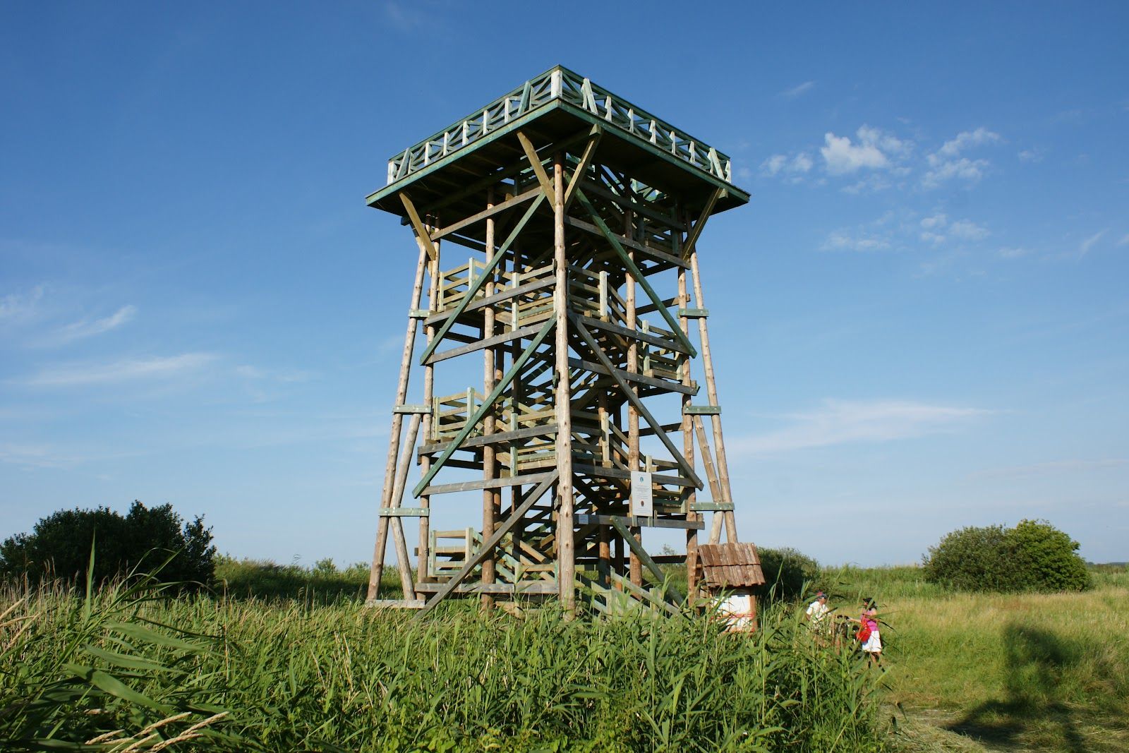 Wieża widokowa nad jeziorem Gardno, Objazda, gmina Ustka, Słupsk County, Pomeranian Voivodeship, Poland