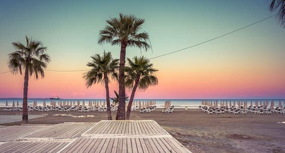 Photo of palm trees and sunbeds at the sandy beach of Larnaca.