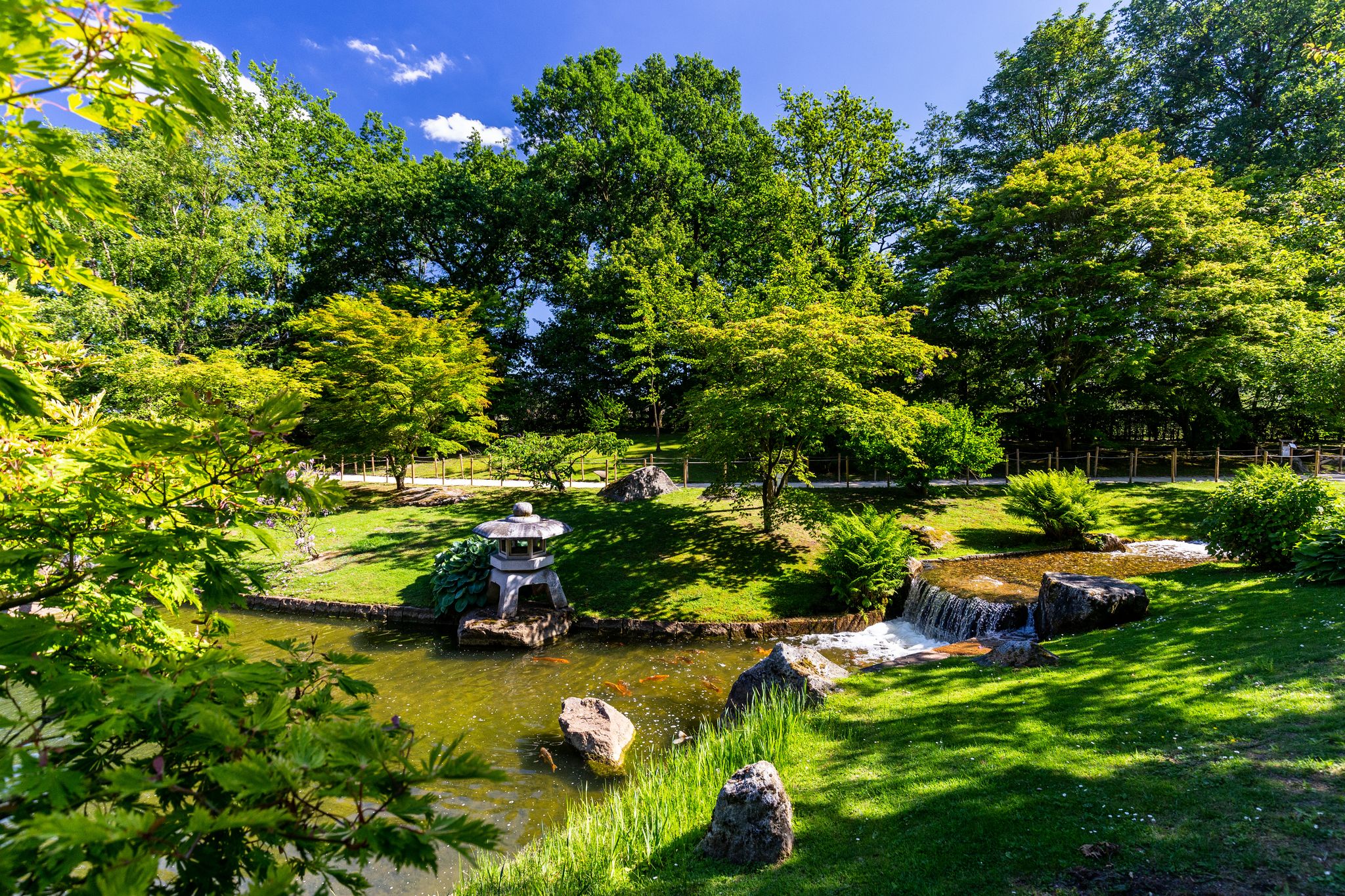 Photo of Japanese garden park in Hasselt, Belgium.