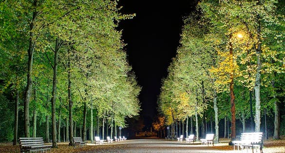 photo of view of Hofgarten at night, Düsseldorf, Germany.