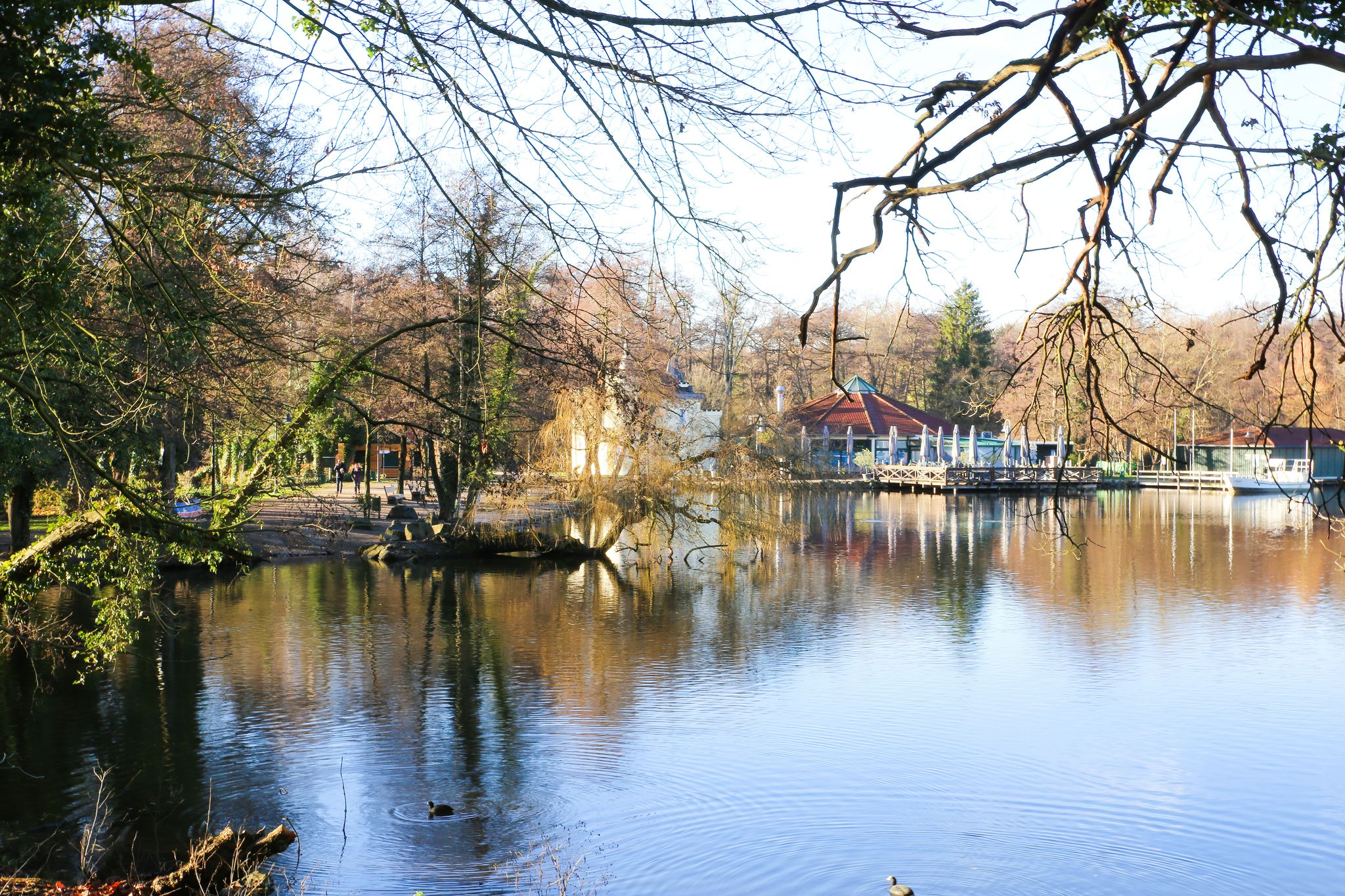 Panoramic view on german lake with trees in autumn colors - Hariksee, Viersen, Germany
