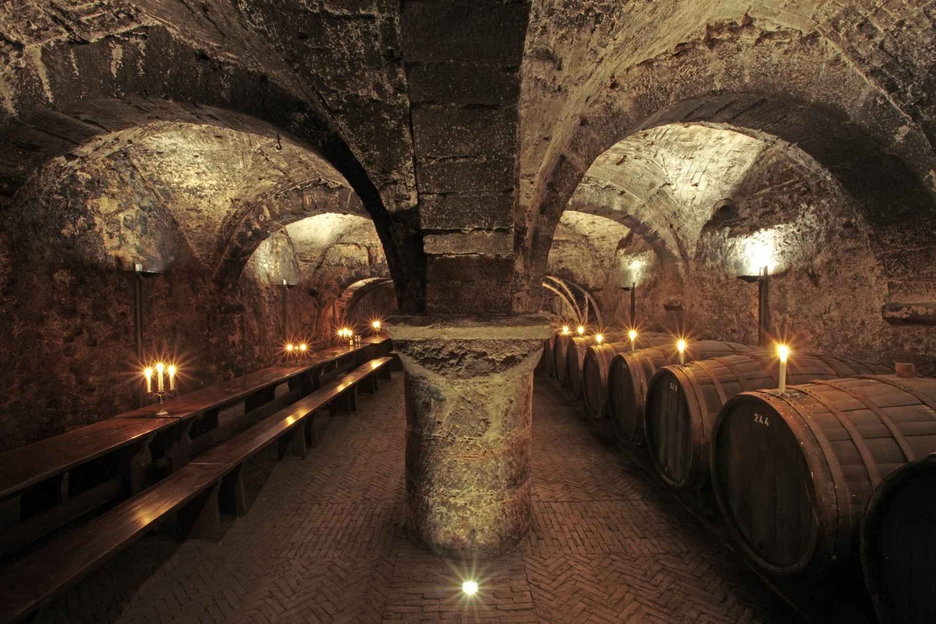 Trier: Discovery Tour – Germany's Oldest Wine Cellar