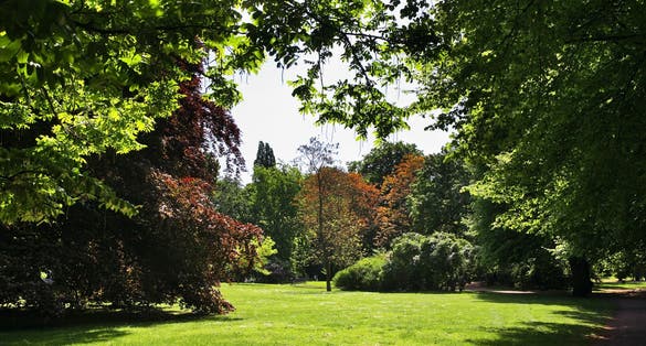 photo of sunny morning of Kungsparken park in Malmo. Sweden.