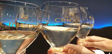 Two days trip to the Republic of Moldova from Iasi