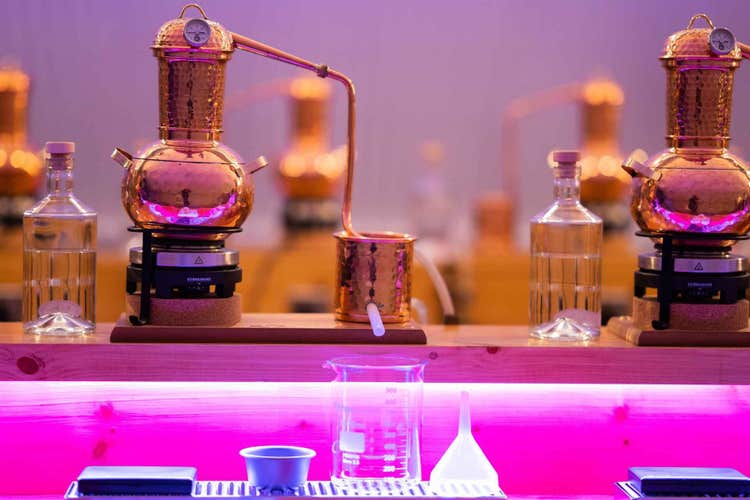 11 Best Things To Do in Aberdeen