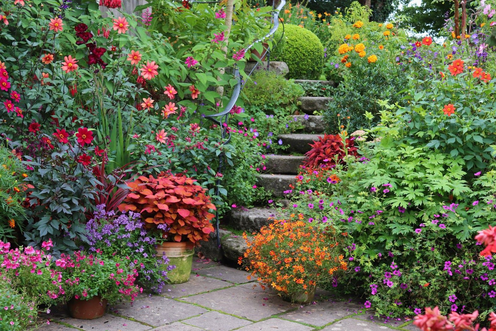 Patthana Garden, Kiltegan, Humewood ED, The Municipal District of Baltinglass, County Wicklow, Leinster, Ireland