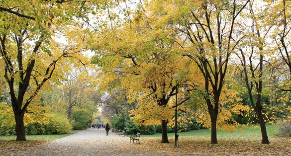 Photo of Autumn in the Sea garden of Varna (Bulgaria).