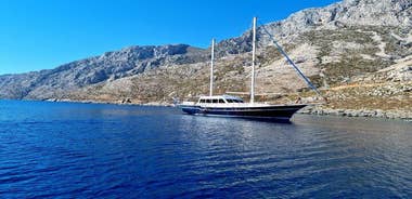 Shared Mykonos Sail Cruise to Delos and Rhenia Islands