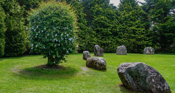 Photo of Kenmare, Co. Kerry, Ireland: The Hawthorn Fairy Tree at the Bronze-age Kenmare stone circle. People attach prayers or gifts to the branches, hoping to receive healing or good luck.