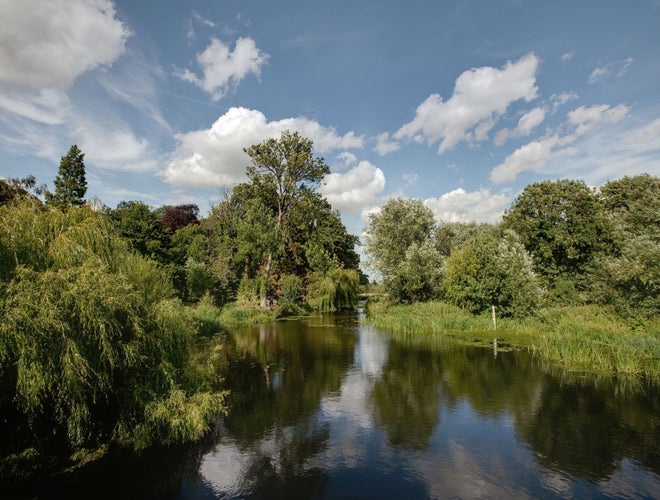 Grantchester Meadows.jpg