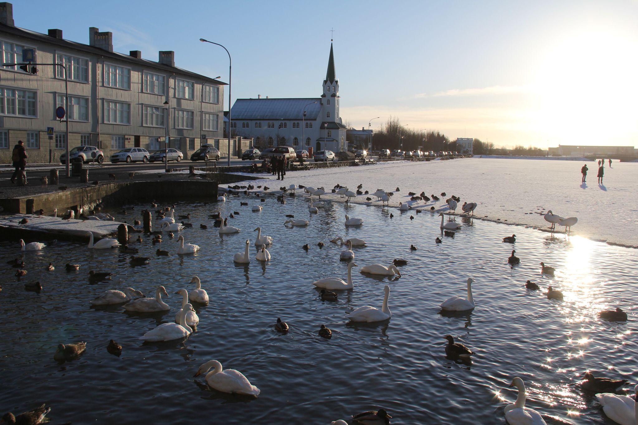 photo of view Tjörnin - The Pond Reykjavík Iceland.