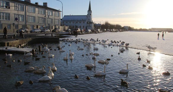 photo of view Tjörnin - The Pond Reykjavík Iceland.