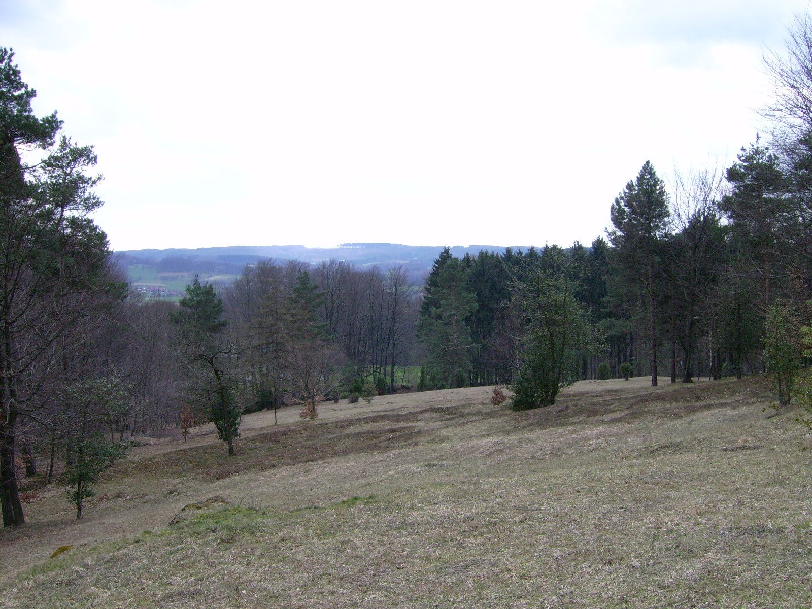 Silberberg, Hagen am Teutoburger Wald, Landkreis Osnabrück, Lower Saxony, Germany