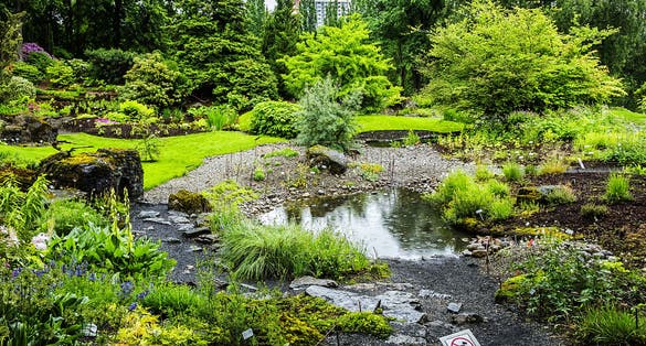 Natural History Museum (1868), Botanical Garden (free entrance). Botanical Garden and museums within it are among Oslo's most popular attractions for tourists and local visitors. Oslo, Norway.