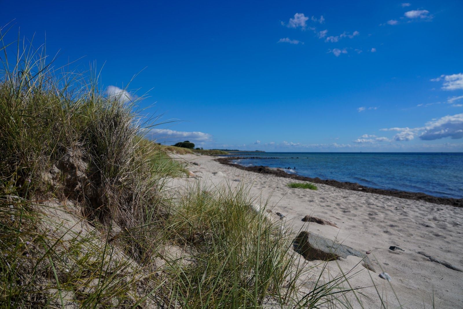 Südstrand, Fehmarn, Ostholstein, Schleswig-Holstein, Germany