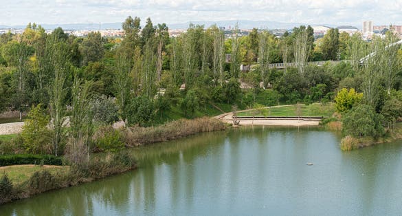 Photo of Beautiful green urban park. Public park with green grass fields, trees, waterways and pond. Parque de Cabecera, Valencia, Spain .