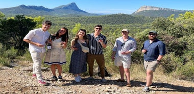 Montpellier: Pic Saint-Loup Wine Tour