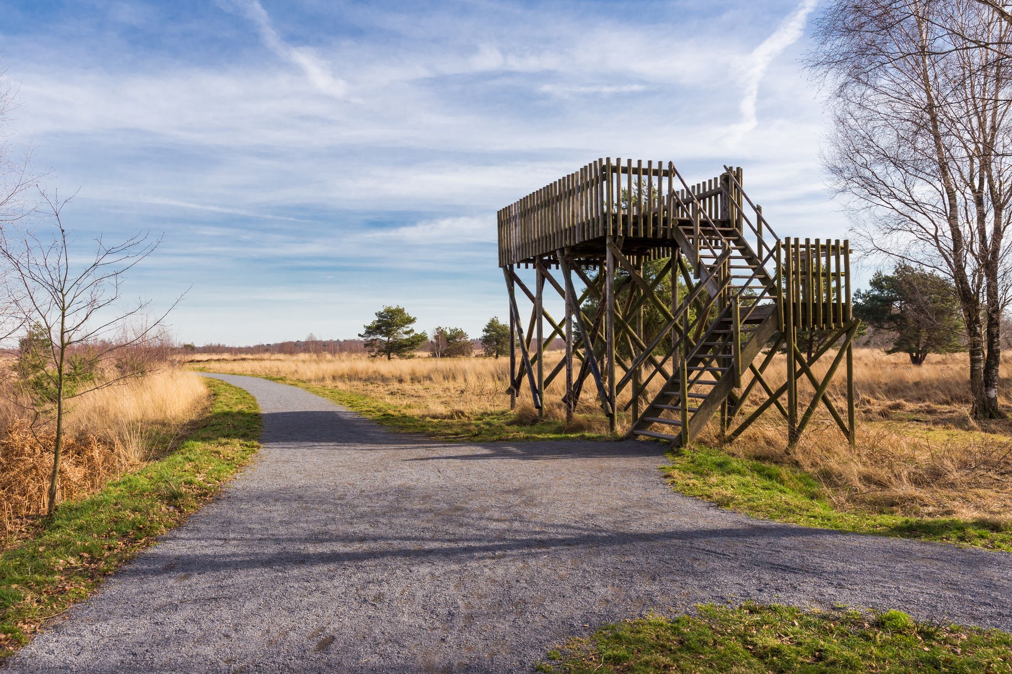 photo of observation post in De Groote Peel National Park in The Netherlands.