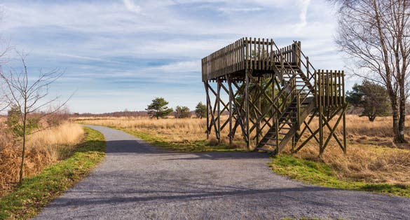 photo of observation post in De Groote Peel National Park in The Netherlands.